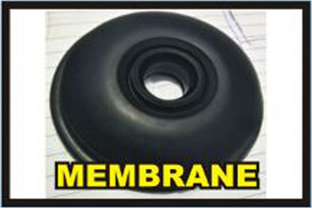 Membrane