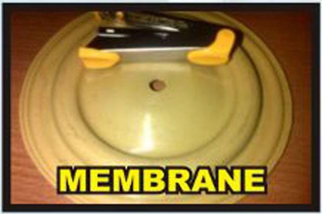 Membranee