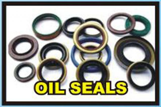 Oil Seals